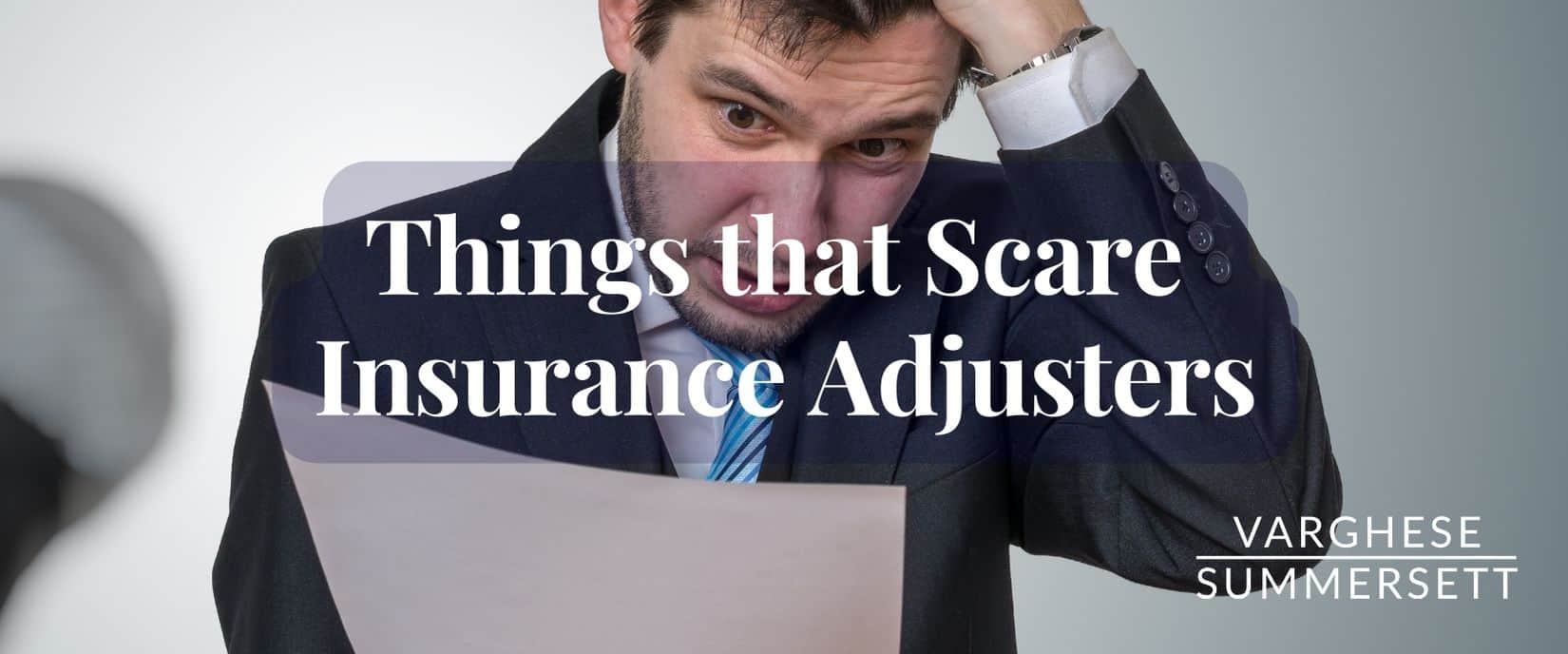 Things that Scare Insurance Adjusters | Varghese Summersett Things that Scare Insurance Adjusters